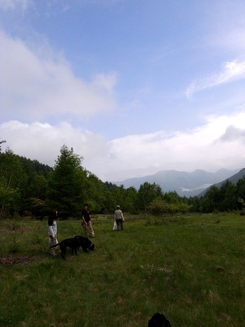 a0093592_23574531.jpg