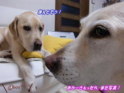 c0028792_22281471.jpg