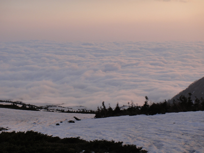 c0003493_11342899.jpg