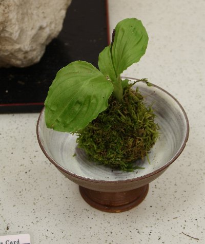 f0054197_2125514.jpg