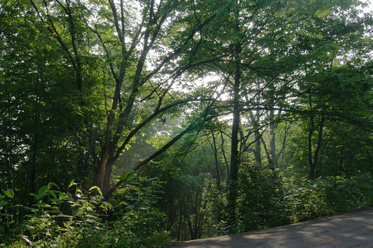 a0116100_1624670.jpg