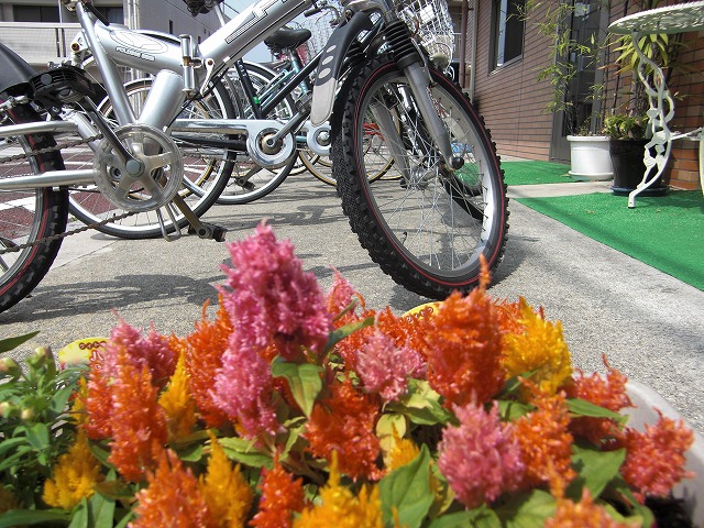 a0060806_2257337.jpg