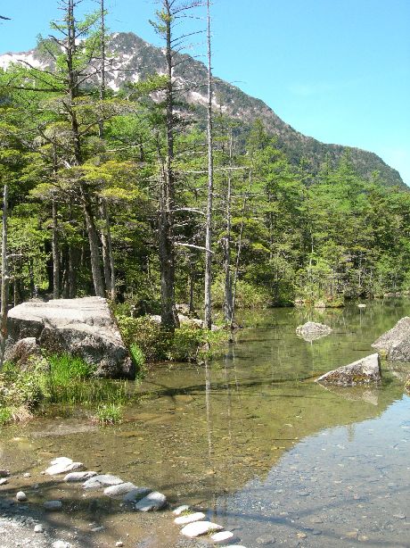 c0149408_21555581.jpg