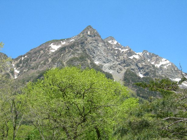 c0149408_21565953.jpg