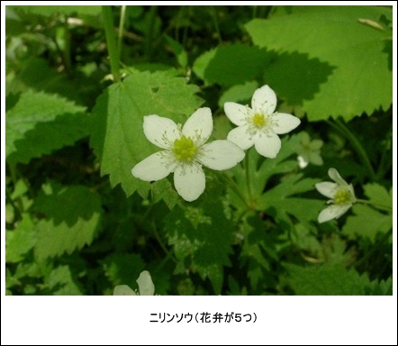 c0149408_2234751.jpg