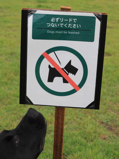 c0101713_1459249.jpg