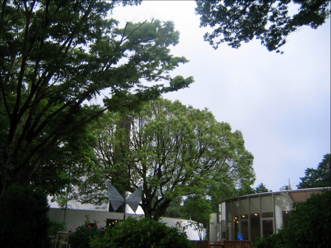 c0219815_2345723.jpg