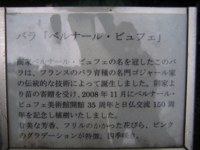 c0219815_2353157.jpg