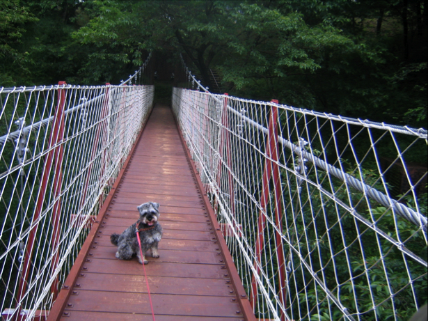 c0219815_2372399.jpg