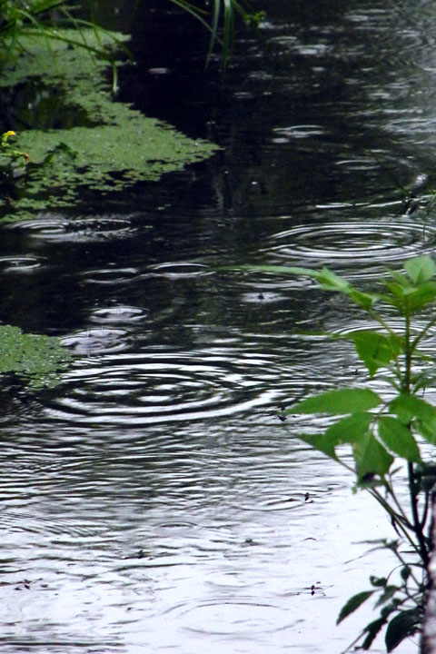 e0083517_0304110.jpg