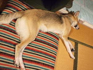 c0012120_23463473.jpg
