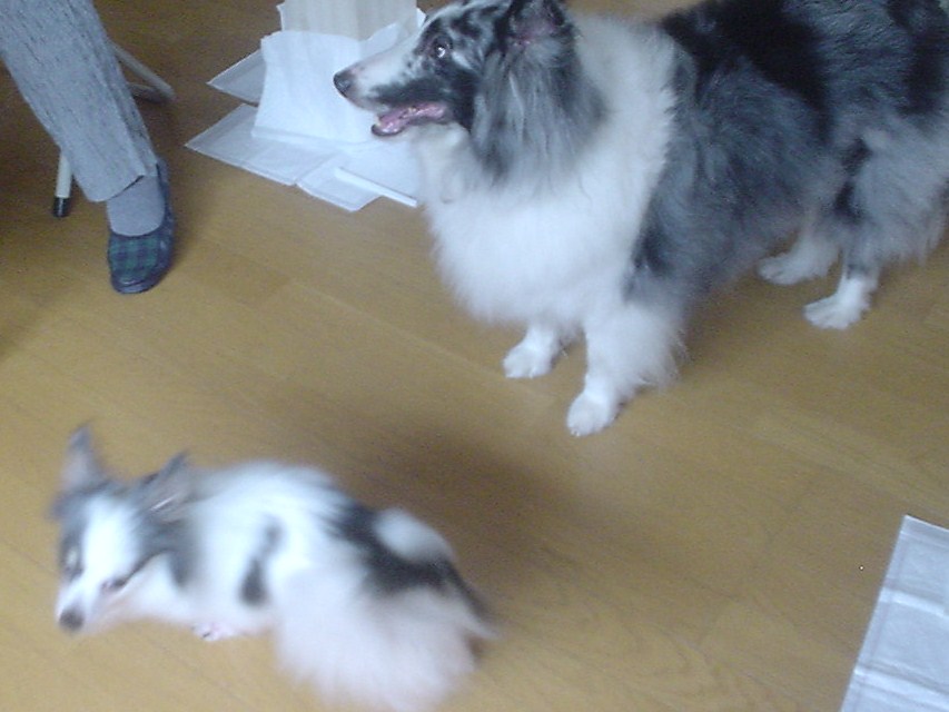 c0150520_23473833.jpg