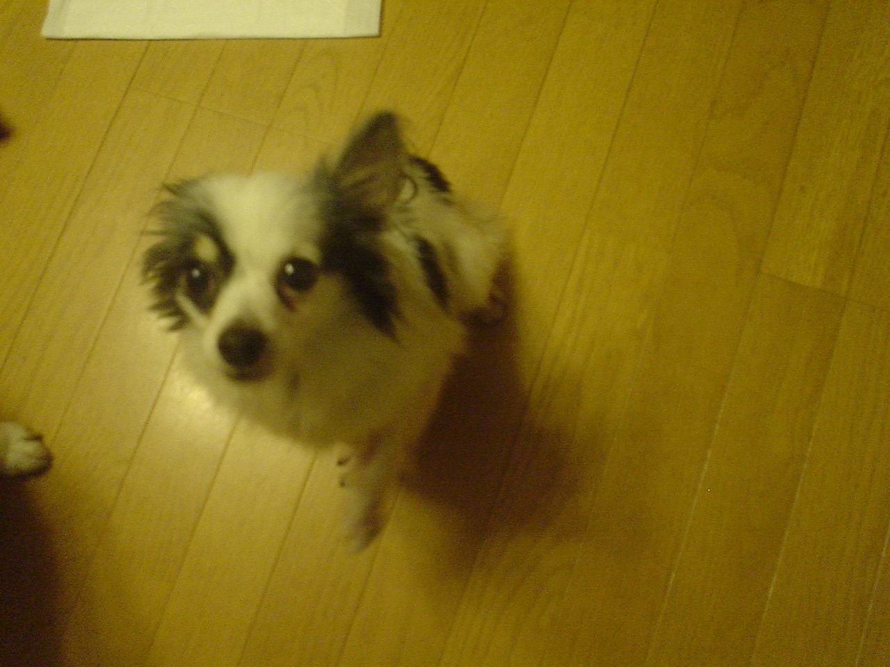 c0150520_23513357.jpg