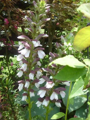 f0054421_1347972.jpg