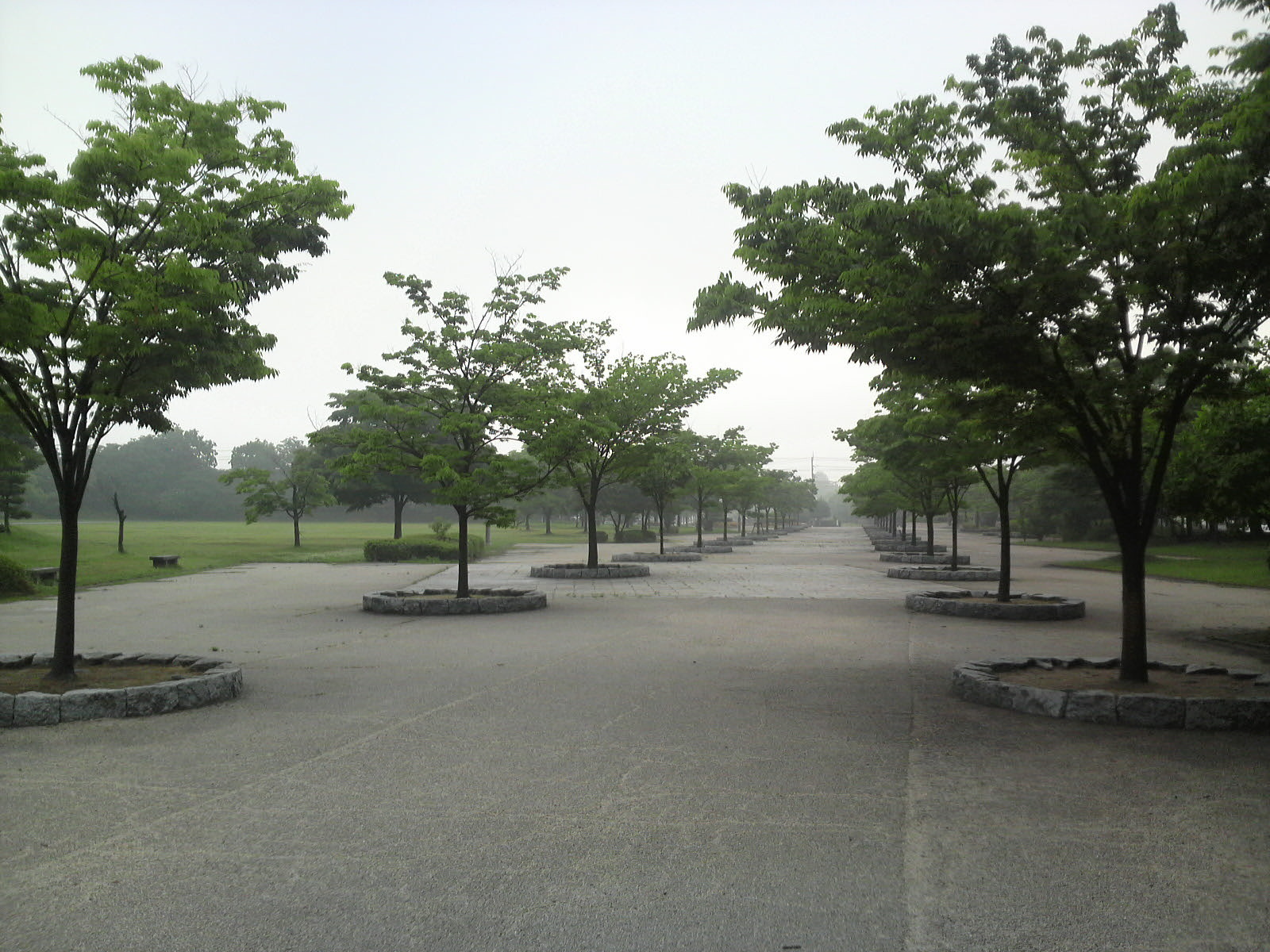 d0167422_8355919.jpg