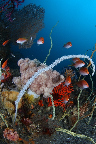 f0206424_10213313.jpg