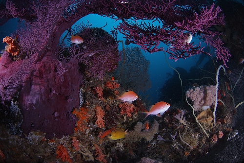 f0206424_1025047.jpg