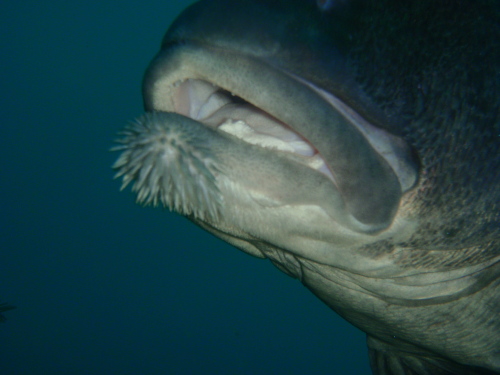 c0034029_8552175.jpg