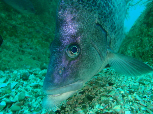 c0034029_855955.jpg