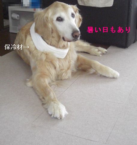 e0142430_0215532.jpg
