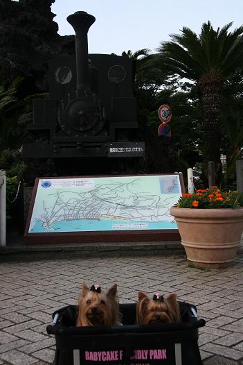 f0124830_14342087.jpg