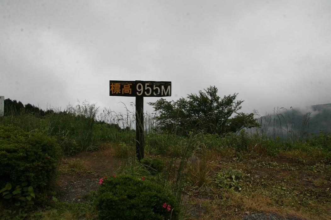 f0124830_1521260.jpg