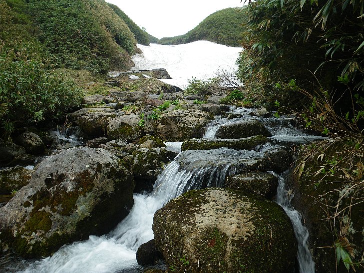 f0118332_022301.jpg