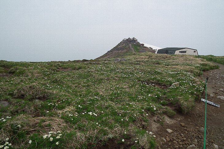 f0118332_075195.jpg
