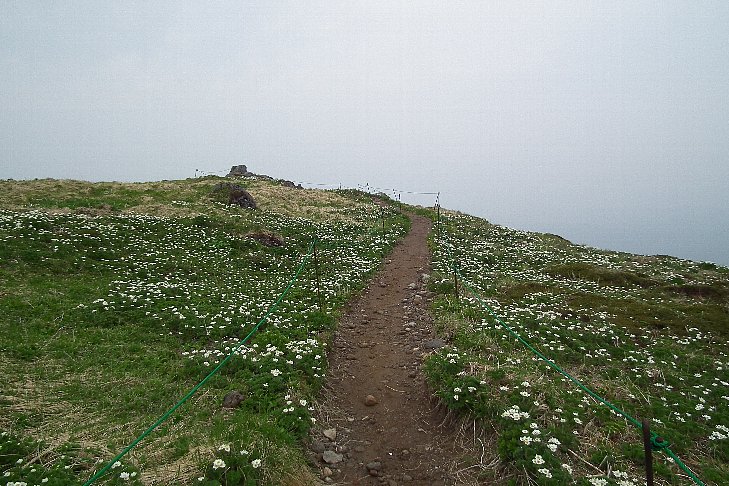 f0118332_08997.jpg