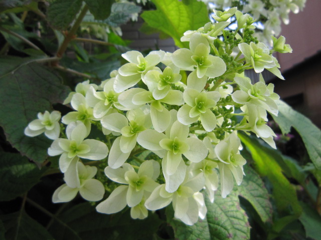 c0025140_13233562.jpg
