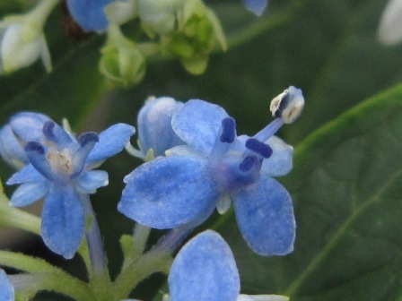 c0025140_17204551.jpg