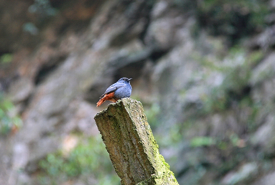 e0077041_11122127.jpg