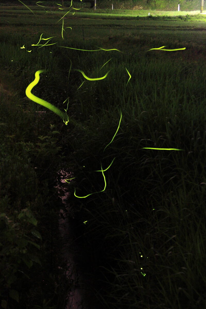 d0135242_17295360.jpg