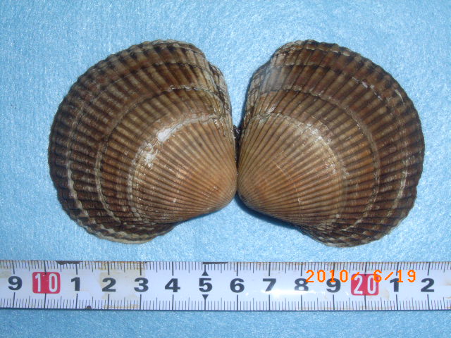 a0157451_21403177.jpg