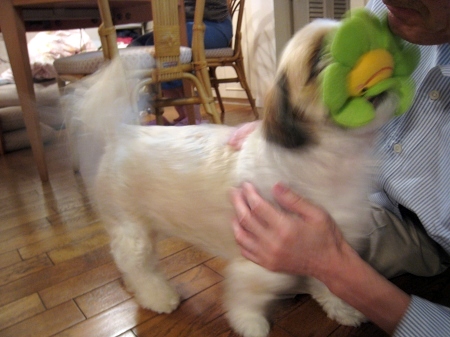 c0043751_18181666.jpg