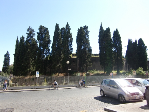 c0206352_450737.jpg
