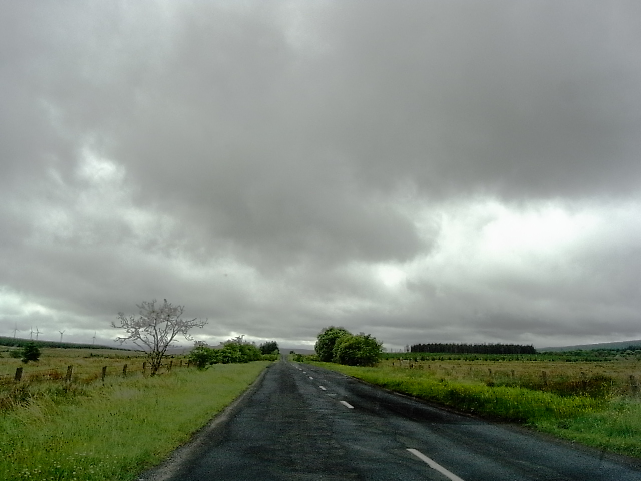f0178153_23144639.jpg