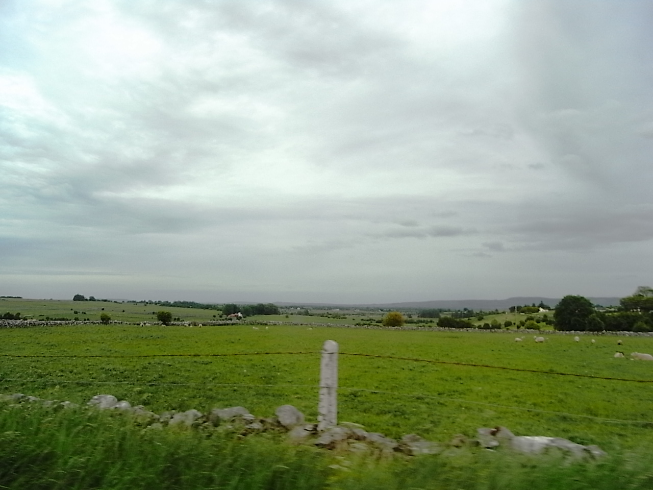 f0178153_23275955.jpg