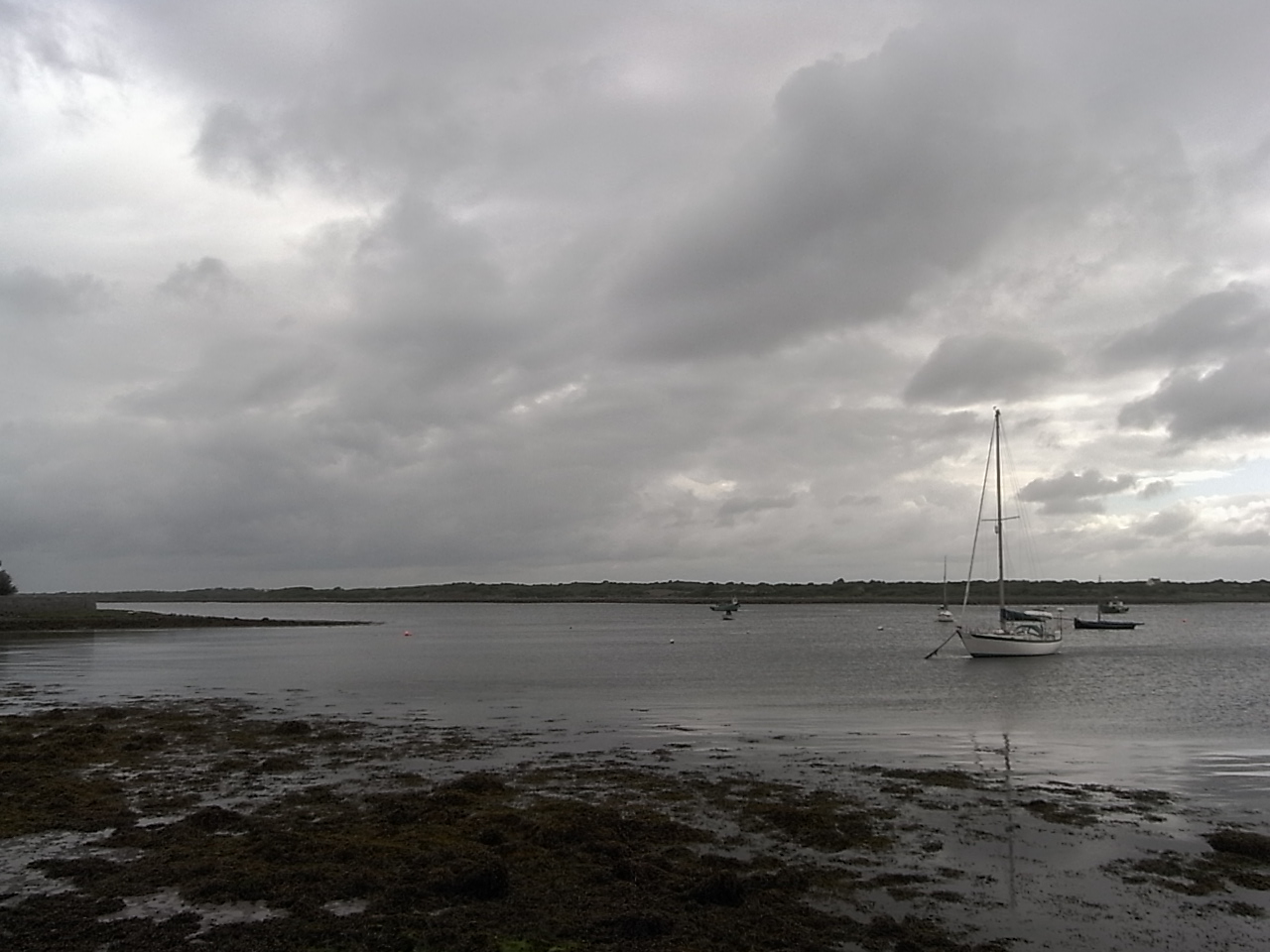 f0178153_23412193.jpg