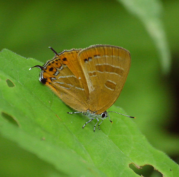 d0091754_14553238.jpg
