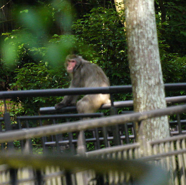 d0091754_16502328.jpg