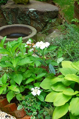 e0025655_794070.jpg