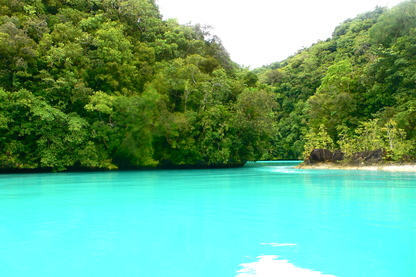b0047958_20264189.jpg