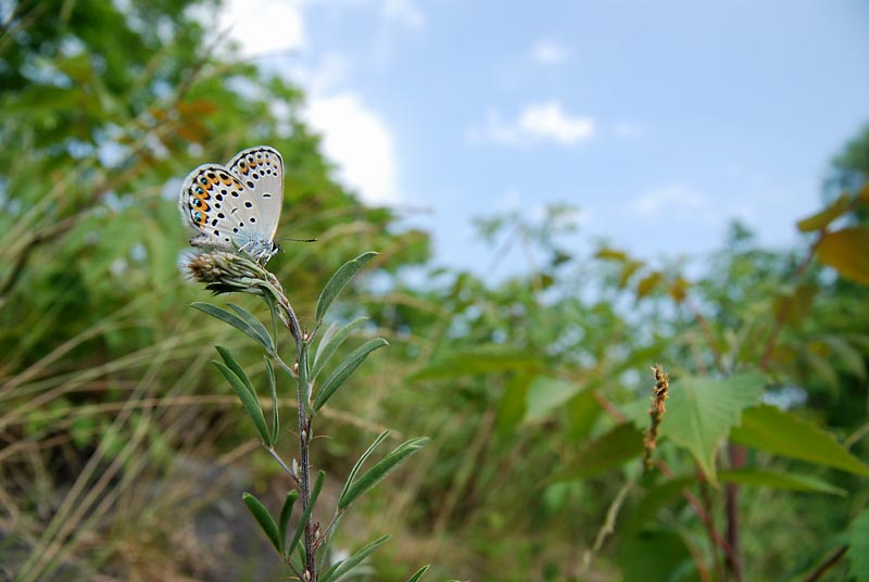 c0043361_133953.jpg
