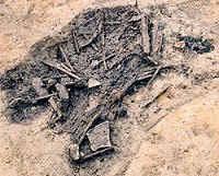 b0086362_11362453.jpg