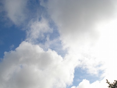 b0086362_20483038.jpg