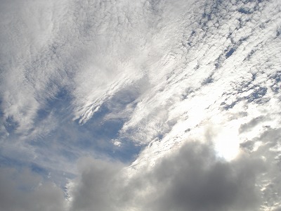 b0086362_20484318.jpg