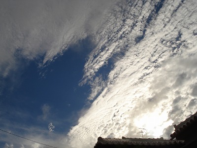 b0086362_20485221.jpg