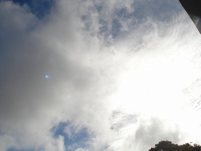 b0086362_2052102.jpg
