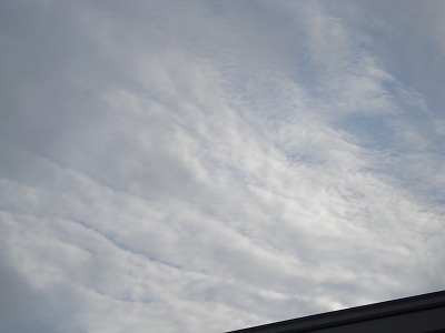 b0086362_20522457.jpg